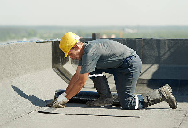 Best Insulation Maintenance and Repair in Siesta Key, FL