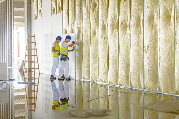 Best Insulation for Specific Applications in Siesta Key, FL